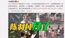 隐婚出轨爆料视频完整版,真相与争议交织的情感漩涡